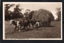 Cartão postal Cirencester Park Gloucestershire the Oxen and Hay Cart agricultura rural, usado comprar usado  Enviando para Brazil