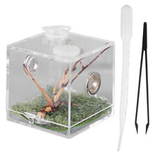 Insect enclosure tarantula for sale  Shipping to Ireland