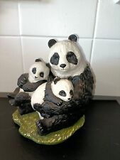 Cute panda cub for sale  TIPTON