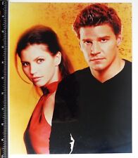 Série de TV ANGEL (Buffy spin-off) foto colorida 10 x 8", por volta de 2002 David Boreanaz comprar usado  Enviando para Brazil