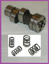 Race cam springs for sale  Odell