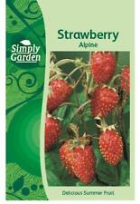 strawberry seeds for sale  UK