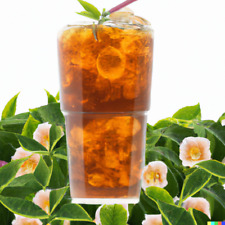 Tea shrub seeds for sale  Saint Augustine