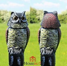 Decoy owl realistic for sale  CHESTER