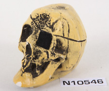 Vintage randotti skull for sale  Gainesville