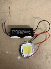 Chip de mazorca LED de repuesto de 30 W + controlador LED (blanco fresco) segunda mano  Embacar hacia Argentina