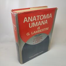 Gastone lambertini anatomia usato  Bologna