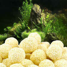 21mm aquarium porous for sale  Shipping to Ireland