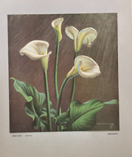 Vladimir Tretchikoff RARE "ARUM LILIES"  PRINT for sale  Shipping to South Africa