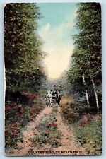 St. Helen Michigan MI Postcard Country Road Exterior View c1910 Vintage Antique for sale  Shipping to South Africa