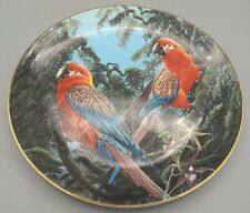 macaw plate for sale  HEMEL HEMPSTEAD