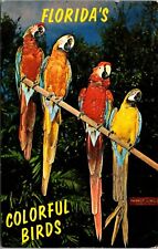 Florida colorful birds for sale  Greer