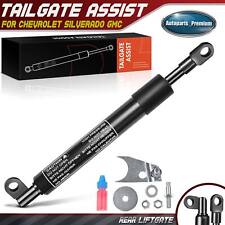 Tailgate assist shock for sale  USA