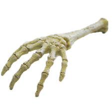 Skeleton hand aquarium for sale  SOMERTON