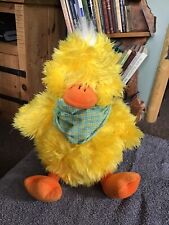 Keel yellow chick for sale  CAMBRIDGE