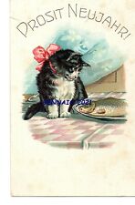 1908 gatto vassoio usato  San Teodoro
