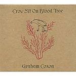 Graham coxon crow for sale  STOCKPORT