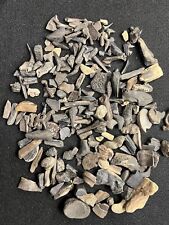 Pound dino bone for sale  Nettleton