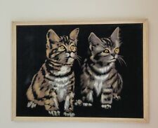 Tabby cats kittens for sale  Newark