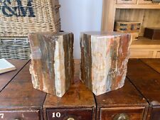 Petrified fossilised wood for sale  STAINES-UPON-THAMES