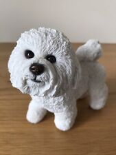 Bichon frise dog for sale  BEDFORD