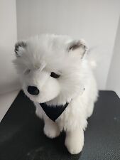 Douglas phoebe pomsky for sale  Portage