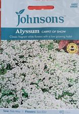 Johnson alyssum sow for sale  BRACKNELL