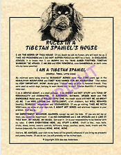 Rules tibetan spaniel for sale  Seaboard