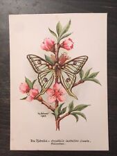 Schmetterlinge postkarte karte gebraucht kaufen  Möglingen