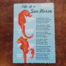 Life sea horse for sale  YORK