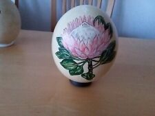 Ostrich egg king for sale  NORWICH