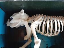 Skeleton dog large for sale  Shipping to Ireland