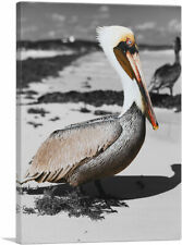 Artcanvas pelican sea for sale  Niles