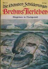 Säugetiere fischgestalt schö gebraucht kaufen  Hennef