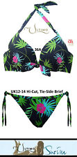 Ultimo tropical flower for sale  UK