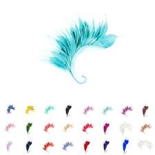 Goose spiky feathers for sale  BEDFORD