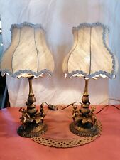 Bellissima coppia lampade usato  Vottignasco