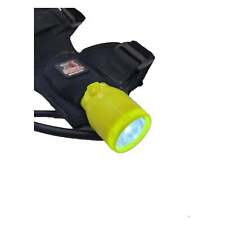 Tocha de mergulho Saekodive LED com suporte de pulso comprar usado  Enviando para Brazil