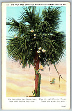 Florida - Palm Tree Entwined with Night Blooming Cereus - Vintage Postcard for sale  Shipping to South Africa