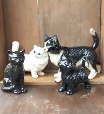 Large lot cats for sale  SCUNTHORPE