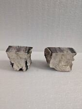 Two petrified fossilized for sale  Defuniak Springs