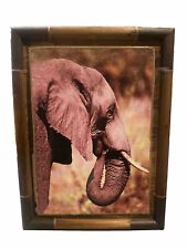 Vintage framed elephant for sale  Rex