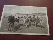 1921 postcard donkeys for sale  CHESTERFIELD