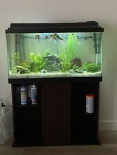 fish gallon 40 stand tank for sale  Oceanside