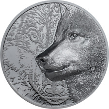 Silbermünze mystischer wolf gebraucht kaufen  Lindau (Bodensee)