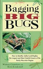 Bagging Big Bugs: como identificar, coletar e exibir o maior e mais... comprar usado  Enviando para Brazil
