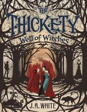 Well witches hardcover for sale  DERBY