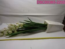 Tall cymbidium orchid for sale  Atchison