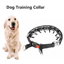 Dog choke collar for sale  HATFIELD