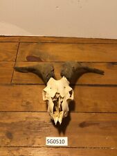 Goat skull texas d'occasion  Expédié en Belgium